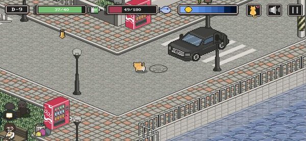 流浪貓的故事圖1