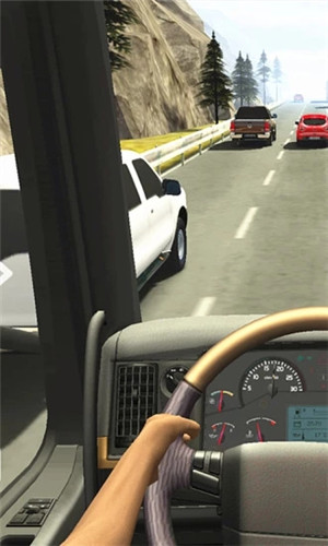 真實駕駛圖2